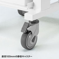 サンワサプライ カンチ式昇降カルテカート RAC-HP105W 1個（直送品）