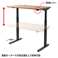 サンワサプライ 電動上下昇降デスク ERD-M12070BKLM 1台（直送品）