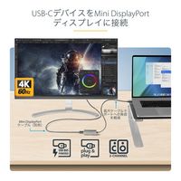 Startech.com USB-C-Mini DisplayPort 変換アダプタ/4K60Hz HBR2/30cm一体型ケーブル CDP2MDPEC 1個