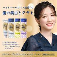 【アウトレット】Ora2（オーラツー）プレミアム ステインクリア シャイニーシトラスミント 100g 美白 歯磨き粉 1本 医薬部外品 サンスター