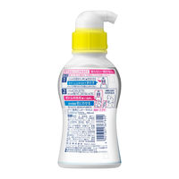 ピュオーラ 泡ハミガキ マイルドグリーンの香味 190mL 1本 花王 歯磨き粉 ネバつき浄化 口臭・歯周病予防