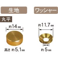 ダンドリビス DANDORI VIS 太鼓鋲風ネジキャップ 生地 丸平 10号箱 1箱（直送品）