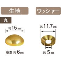 ダンドリビス 太鼓鋲風ネジキャップ 真鍮メッキ 丸 10号箱 C-TCMMXX-50 1箱