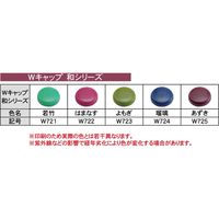ダンドリビス DANDORI VIS Wキャップ 和シリーズ W722 はまなす Abox 1箱（直送品）