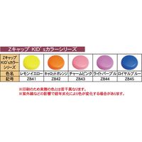 ダンドリビス DANDORI VIS Zキャップ&ワッシャーセット KID'sカラーシリーズ Z844 ライトパープル ブリスター 1パック（直送品）