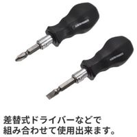 ワールドツール アストロプロダクツ AP 1/4HEX PH2×SL6 L63両頭ビット 2002000034847 1個 546-9595（直送品）