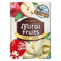 （9ヶ月頃から）ミライフルーツ りんご 1セット（1袋×3） 100％果実 フリーズドライ 乳児用規格適用商品