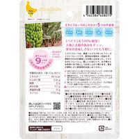 （9ヶ月頃から）ミライフルーツ バナナ 1袋 100％果実 フリーズドライ 乳児用規格適用商品