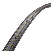 KMネクスト LEDテープライト 両面 10m 211582640 1巻（直送品）