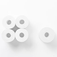 シロキ 10年保証備蓄用 トイレットペーパー 200m個包装 4ロール入りBOX LT-204 1箱（直送品）