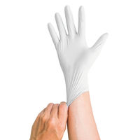 サラヤ ニトリルグローブ　エクステンド　白　Lサイズ　ホワイト　使い捨て手袋　粉なし　50948 1箱（200枚入）