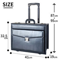 スワン ROBERT KLEIN (ロバートクライン) キャリー付パイロットケース 8714 1個（直送品）