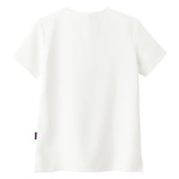 フォーク レディススクラブ クラウドダンサー S 7117SC-30-S 1枚（直送品）