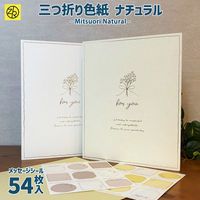 ゼットアンドケイ 三つ折り色紙 ナチュラル ホワイト 62-282 1個（直送品）