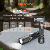 NICRON B74i 首振り 600LM 1個（直送品）