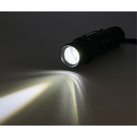 リッチボンド 4カラーLEDライト 電池付 FX-2115 1個（直送品）