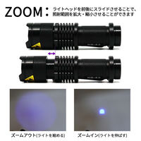 リッチボンド 365nmコンパクトUVライト KB-43 1個（直送品）