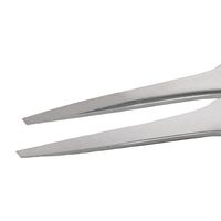 IDEAL-TEK アイデアルテック ステンレスピンセット 直平型 耐酸・耐磁 先端幅1.70mm 全長120mm F.SA.0.IT 1本（直送品）