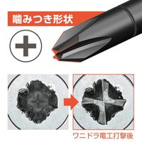 アネックスツール(ANEX) ビスブレーカードライバー ワニドラ電工 +2×100 7765 7765(+2x100) 1セット(3本)（直送品）