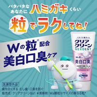 歯磨き粉 高濃度フッ素配合 クリアクリーンNEXDENT アップルカモミール 110g 1本 美白口臭 花王