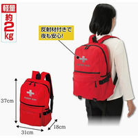 ファミリー・ライフ 2026年度版 防災士が選んだオリジナル防災用品38点セットDX a36137 1個（直送品）