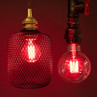 日本グローバル照明 カラーフィラメントLED「AMEDAMA」 G45 FLDC-G45/R 1個（直送品）