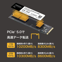 プリンストン PCle5.0 NVMeM.2内蔵SSD PHD-ISM2G5DL-2T 1枚（直送品）