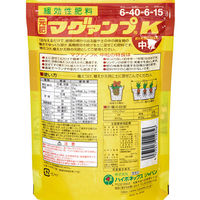 ハイポネックスジャパン ハイポネックス マグァンプK&リキダス 植え付け用セット 229819 1個（直送品）