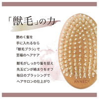 アヌシ Oval 獣毛ブラシAOJ-1000 82439 1個（直送品）