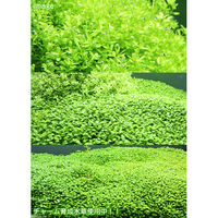 リーフ Leaf Corporation Plants Fine セット 各400ml 440342 1個（直送品）