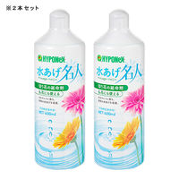 ハイポネックスジャパン ハイポネックス 水あげ名人 600ml 2本 192280 1個（直送品）