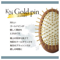 アヌシ Oval ゴールドピンブラシAOJ-3000 82438 1個（直送品）