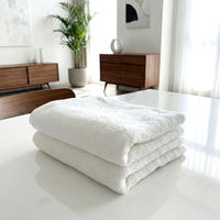 抗菌防臭フェイスタオル ホワイト 1袋（2枚） 速乾 部屋干し 業務用 サロン仕様 伊澤タオル