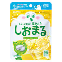 暑さ対策 塩分補給 塩分対策  しおまる　ひんやりれもんサイダー 30g 1セット（1個×12）