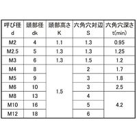 SUNCO 極薄・NSローヘッド 10×16 (100本入) A0-00-L300-0100-0160-00 1箱(100本)（直送品）