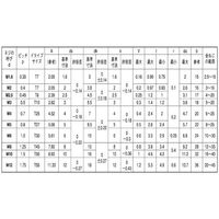 SUNCO TORXーCAP 10×25 (100本入) A0-00-T000-0100-0250-00 1箱(100本)（直送品）