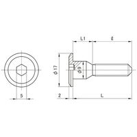 SUNCO GB JCBーA(六角穴D17 6 X 60 (100本入) 4942131643038 1箱(100本)（直送品）