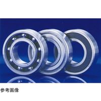 日本精工 日本精工(NSK) ステンレス軸受 SS6900ZZ-T 1個 69-0540-50（直送品）