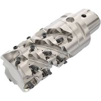 セコ フライス スクエアT4カッター R220.94ー12 C5-R217.94-054-069-LO12.4A 1個（直送品）