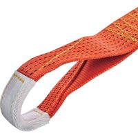 トラスコ中山 TRUSCO ベルト荷締機ワイドハンドル 75mm幅 2030kg アイタイプ JIS規格品 GV75A-2000R 1台（直送品）