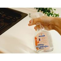 服部製紙 電解重曹クリーナースプレー 400ml G-400 1本 698-4585（直送品）