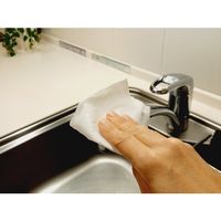 服部製紙 除菌クリーナー業務用 詰め替えタイプ GT-1 1袋(300枚) 698-4583（直送品）