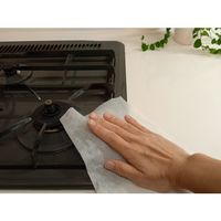 服部製紙 重曹電解クリーナー業務用 G-2 1缶(300枚) 698-6190（直送品）