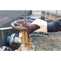 BFS-GNS-000223A（直送品）