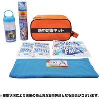 ブレイン 熱中対策キット BR-810 1式 690-7319（直送品）