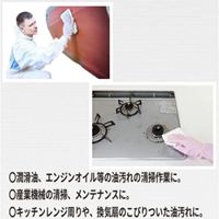 日精 ウェットワイパー リポワイプ・トール2 詰め替え用 LPW-T2B 1袋(250枚) 713-1521（直送品）