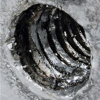 VOLKEL VOELKEL インサートねじキット M14×1.5mm 04029 1セット(1組) 712-4388（直送品）