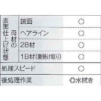 マイト工業 ハケ専用電解液 SUS-HC 1L 1PC（直送品）