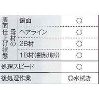 マイト工業 ハケ専用電解液 SUS-HC 10L 1PC（直送品）