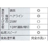 マイト工業 電解液 SUS-4000B 10L 1PC（直送品）